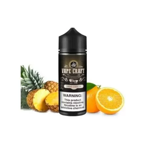 elfbar elfa master akku Oasis E-Juice by Aqua