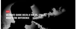 Ultimate Guide Delta-8 THC Vs. CBD | What's The Difference