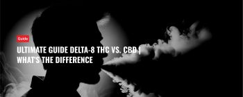 Ultimate Guide Delta-8 THC Vs. CBD | What's The Difference