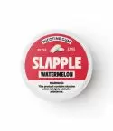 Slapple Nicotine Gum	Watermelon