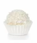 The Flavor Apprentice - Coconut Candy 15mL