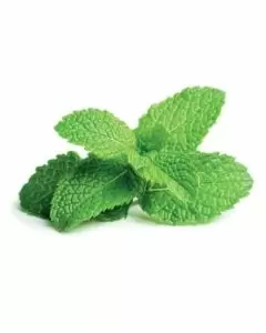 Flavor West - Spearmint Natural 15mL