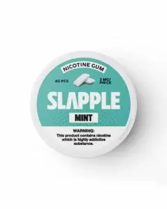 Slapple Nicotine Gum - Mint