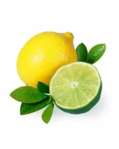 The Flavor Apprentice - Lemon Lime 15mL