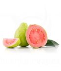Guava 