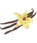 Tahitian Vanilla