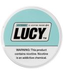 Lucy Nicotine Pouches - Winter Green
