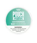 7 Daze Pouchmates Wintergreen Nicotine Pouches 