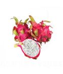 Dragon Fruit