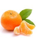 The Flavor Apprentice - Orange Mandarin 15mL
