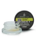 Serene Tree Delta-9 THC Concentrate - 1 Gram - Pineapple Express