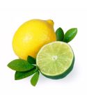 The Flavor Apprentice - Lemon Lime 15mL