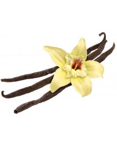 Tahitian Vanilla