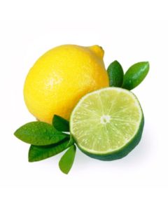 The Flavor Apprentice - Lemon Lime 15mL