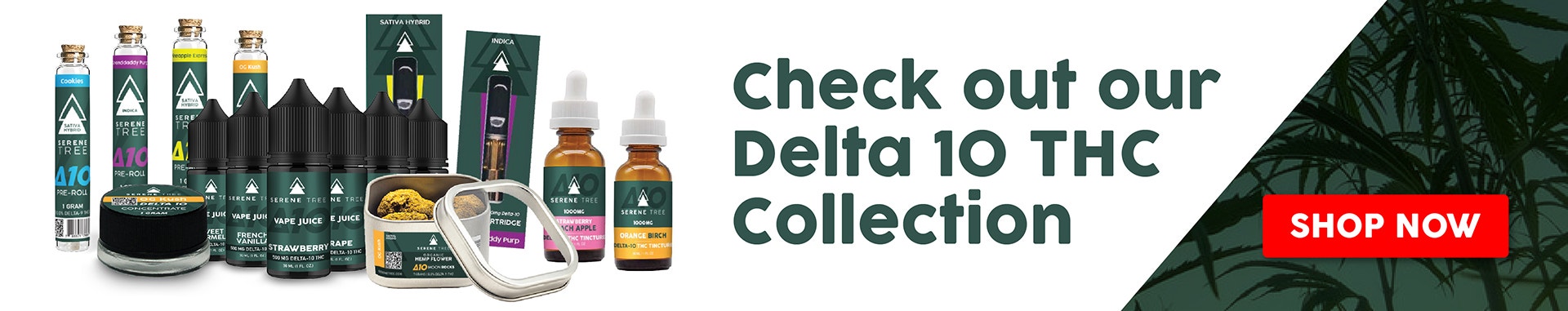 Delta-10 THC products - Buy Now