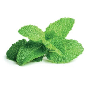 Flavor West – Spearmint Natural 15mL