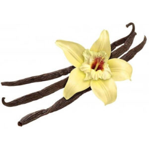 Flavour Art – Vanilla Tahiti