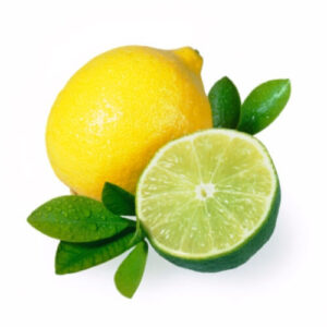 The Flavor Apprentice – Lemon Lime 15mL