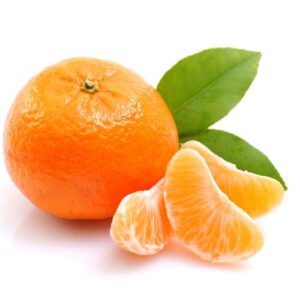 The Flavor Apprentice – Orange Mandarin 15mL